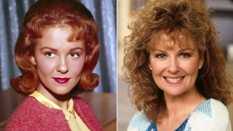 hollywoodun-unutulmaz-isimi-oyuncu-ve-sarkici-shelley-fabares-hayatini-kaybetti.jpg