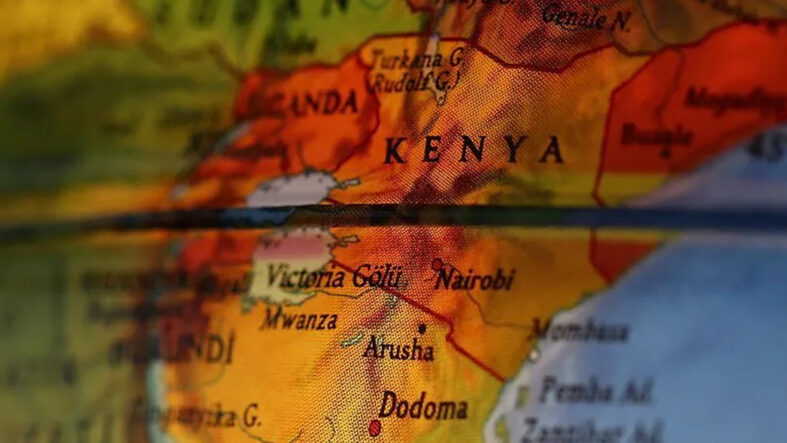 Kenya’da ölen fil sayısı 16’ya yükseldi