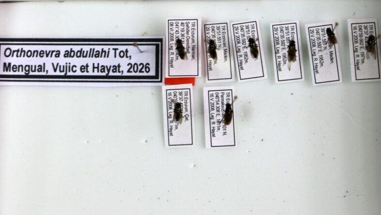 kesfettigi-cicek-sinegi-turune-1998de-kaybettigi-oglunun-adini-verdi.jpg