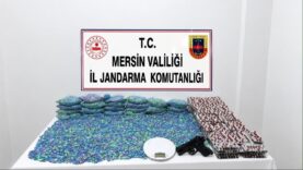 mersinde-64-bin-175-uyusturucu-hap-ele-gecirildi.jpg
