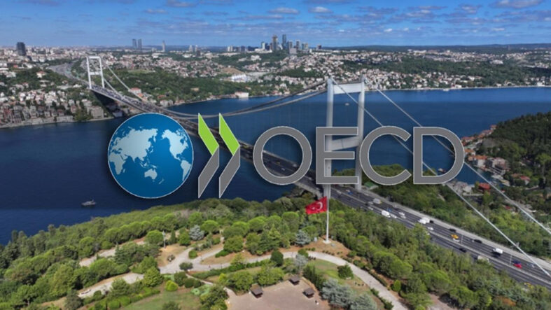 oecdden-turkiyenin-iki-yeni-egitim-projesine-destek.jpg