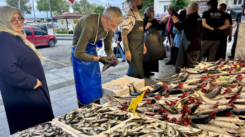 avrupa-balikciligi-icin-rapor-hangi-balik-turleri-sofralardan-eksilebilir.jpg