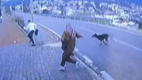 bursada-kopek-dehseti-kacmaya-calisan-cocuk-bacagini-kirdi.jpg