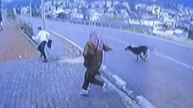 bursada-kopek-dehseti-kacmaya-calisan-cocuk-bacagini-kirdi.jpg