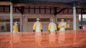 ebola-salgininda-agir-bilanco-vaka-sayisi-8-bini-asti.jpg