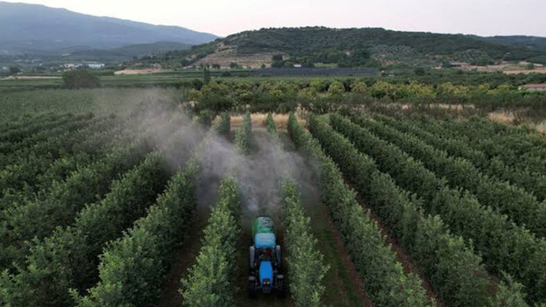 Meyve ve sebzede pestisit engeli, Avrupa kapıyı daralttı