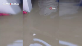 su-basan-apartmanin-bodrum-katinda-yilan-panigi.jpg